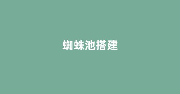 seo搜索引擎优化